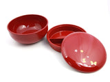 Owan Bento